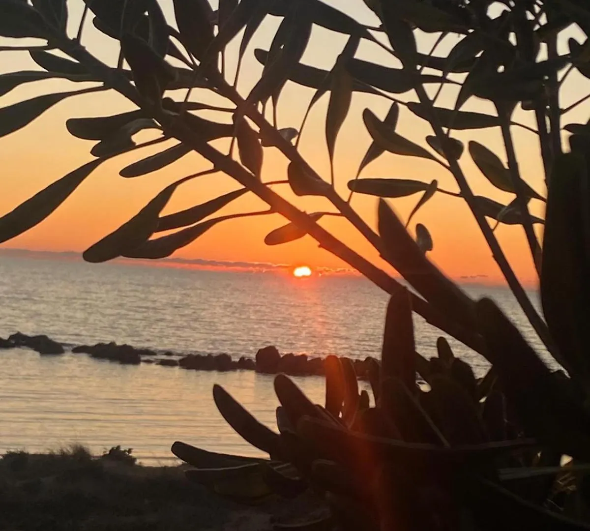 فيلا Rifugio Sul Mare سان ليون بيت للعطل